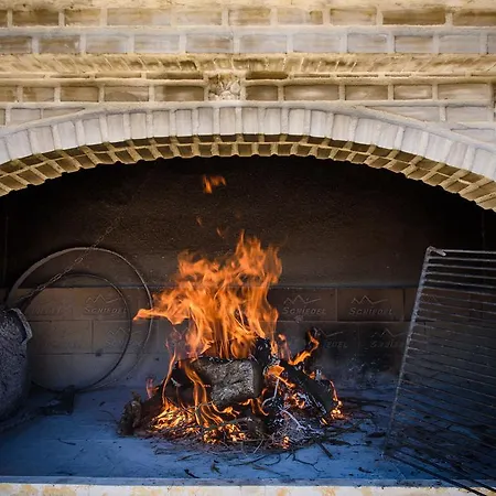 Patricia * טרוגיר