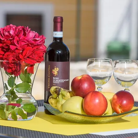 Patricia تروغير